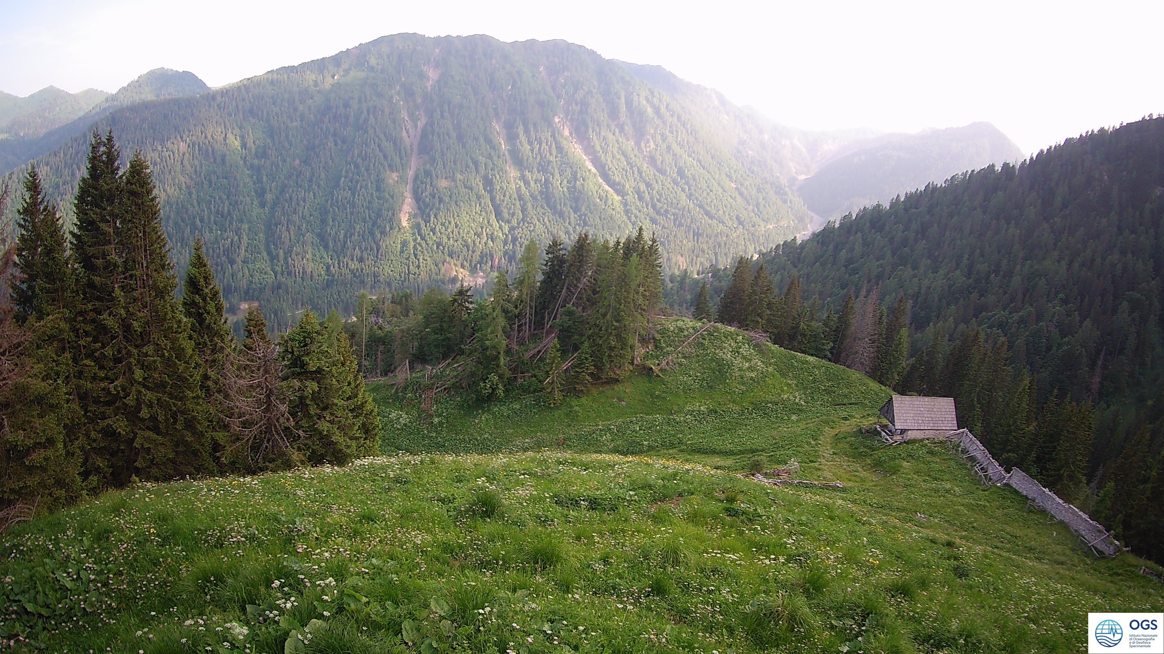 immagine della webcam nei dintorni di Forni di Sopra: webcam Prato Carnico