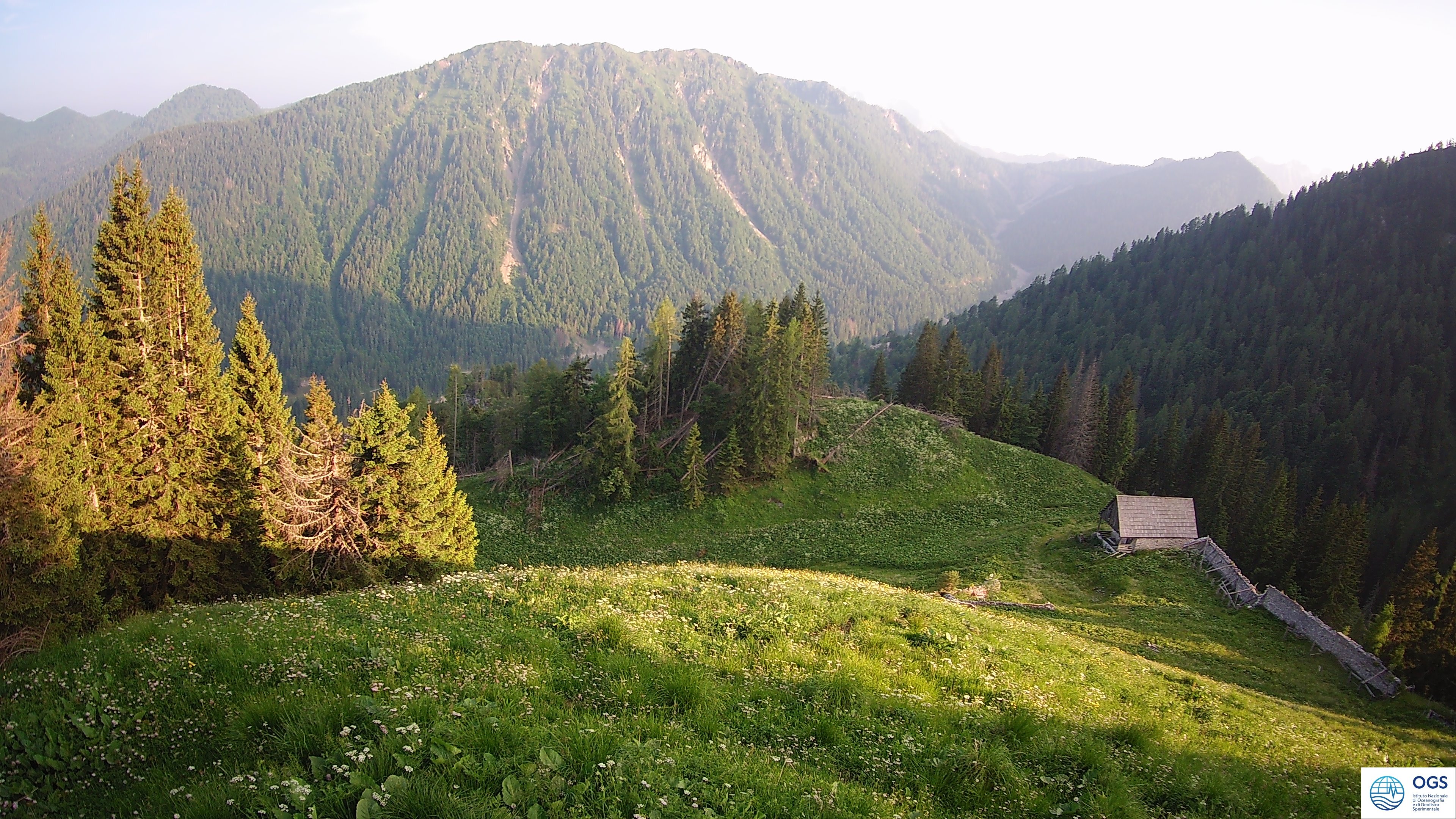 immagine della webcam nei dintorni di Verzegnis: webcam Prato Carnico