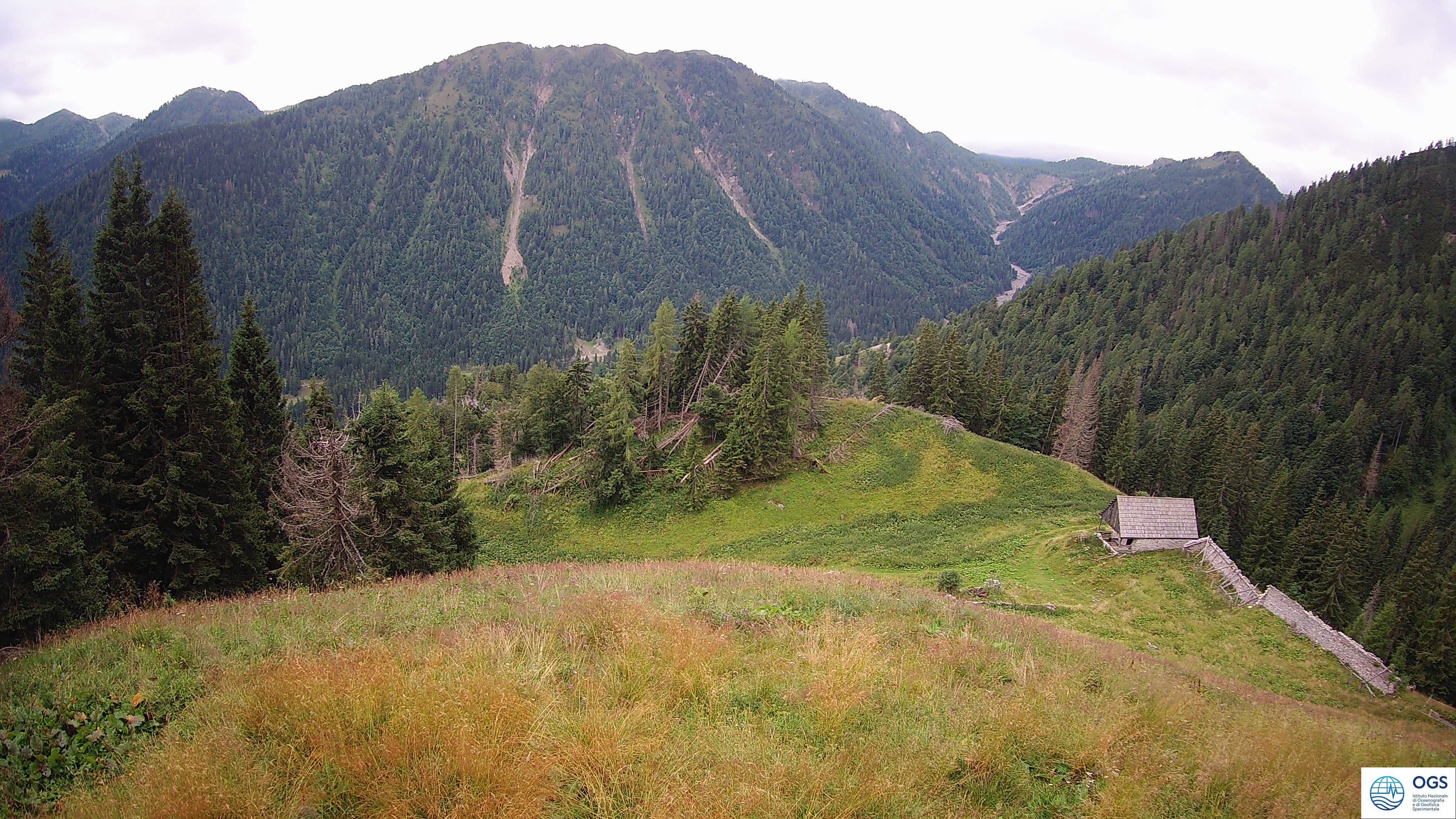 immagine della webcam nei dintorni di Caneva di Tolmezzo: webcam Prato Carnico