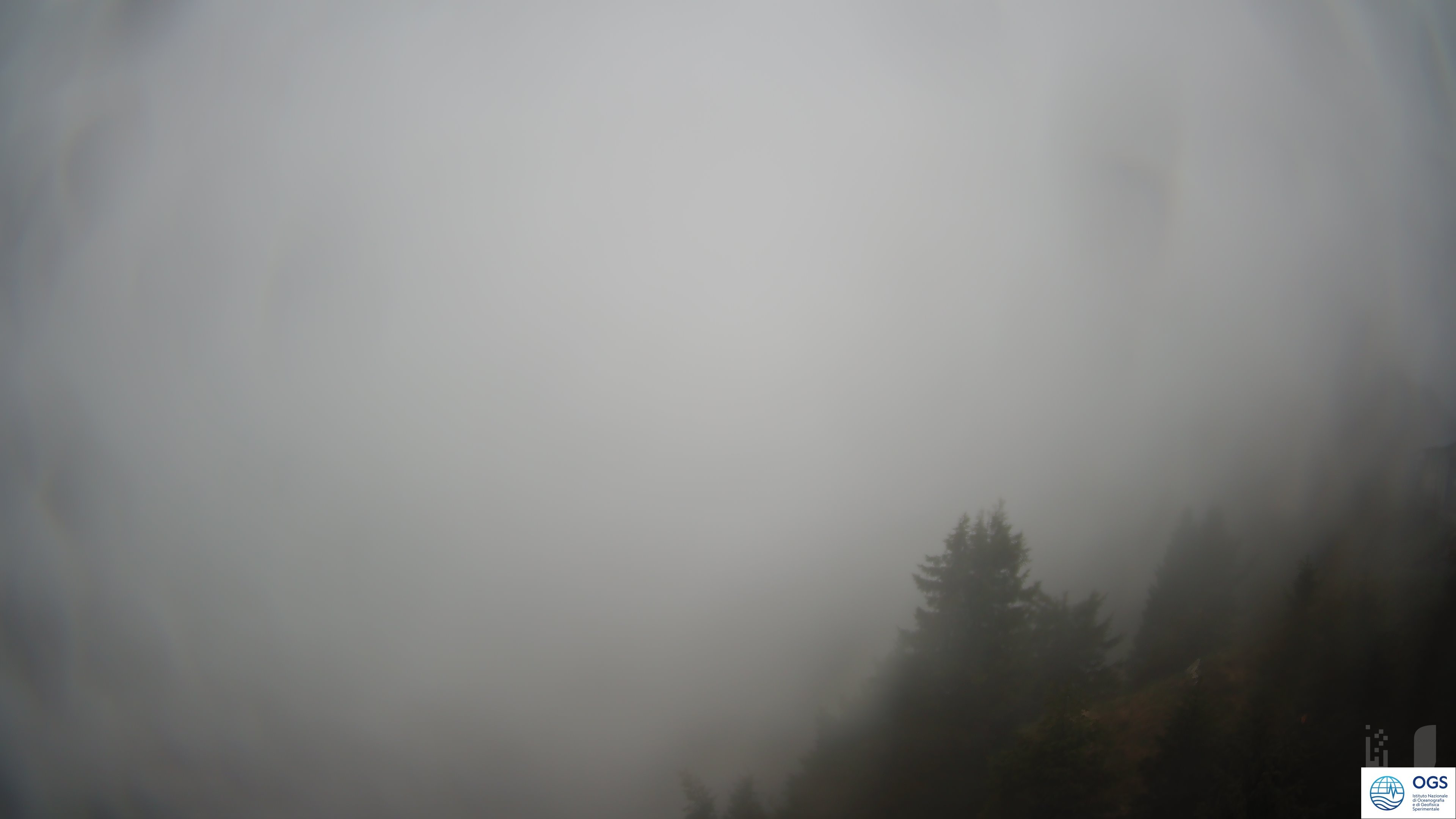 immagine della webcam nei dintorni di Ravascletto: webcam Cercivento