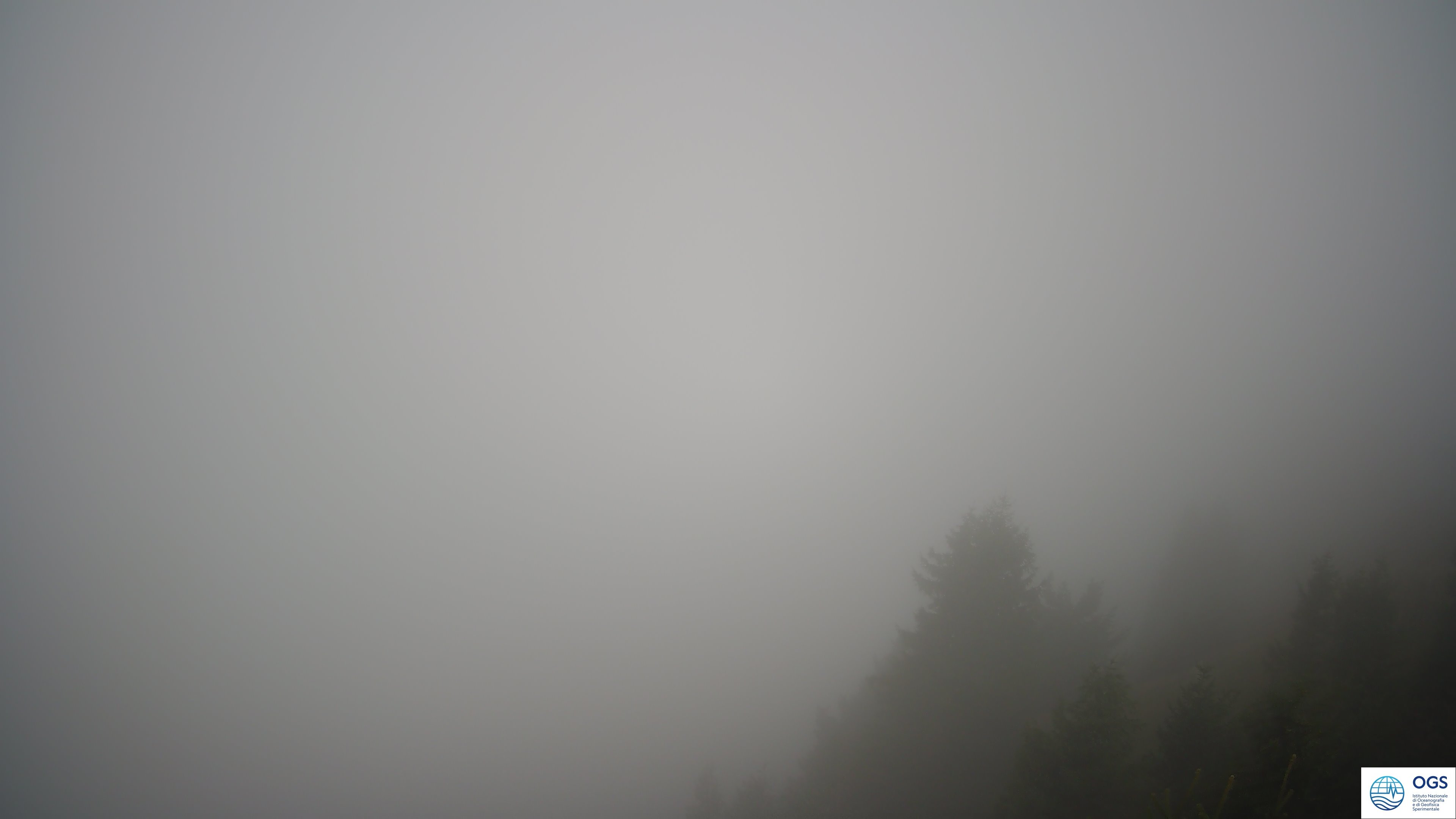 immagine della webcam nei dintorni di Arta Terme: webcam Cercivento